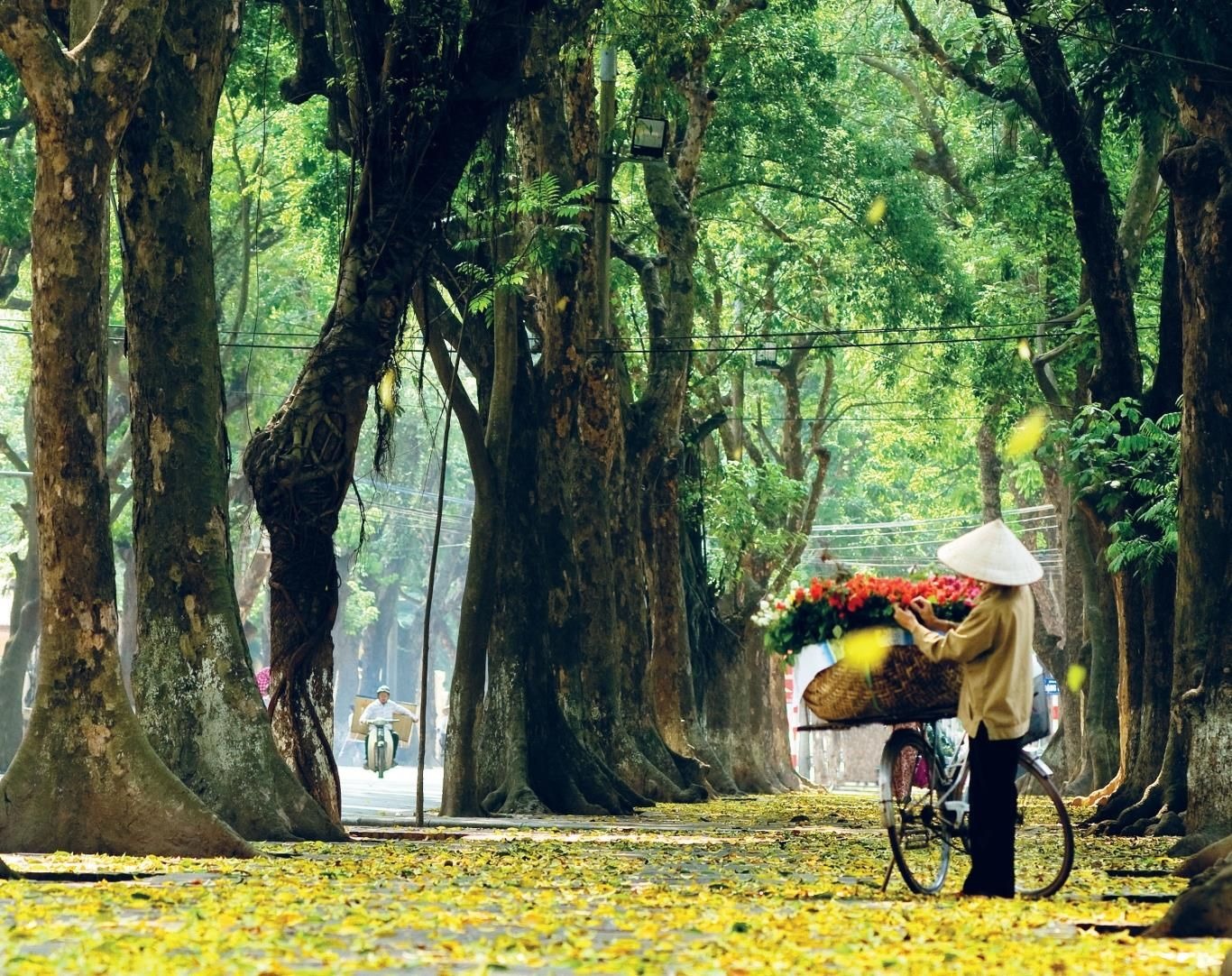 Vietnam